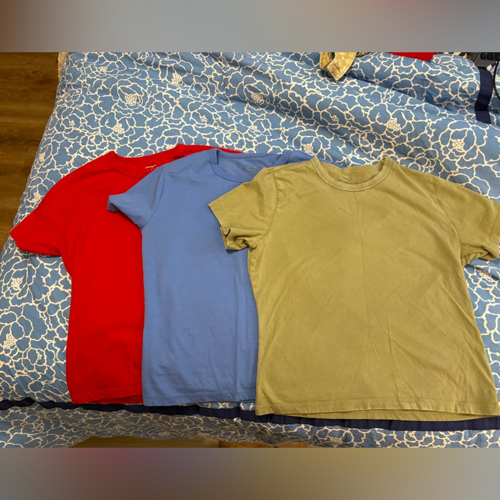 Abercrombie Skimming Tees